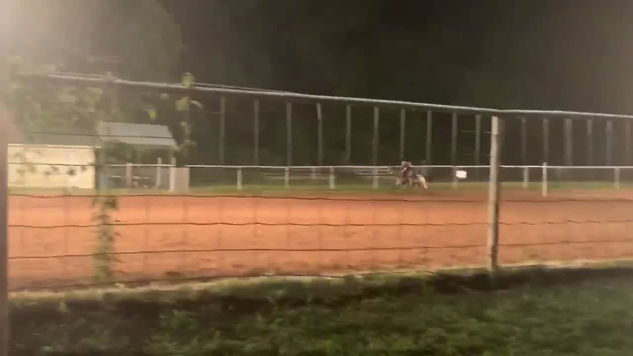 @My horse life❤️