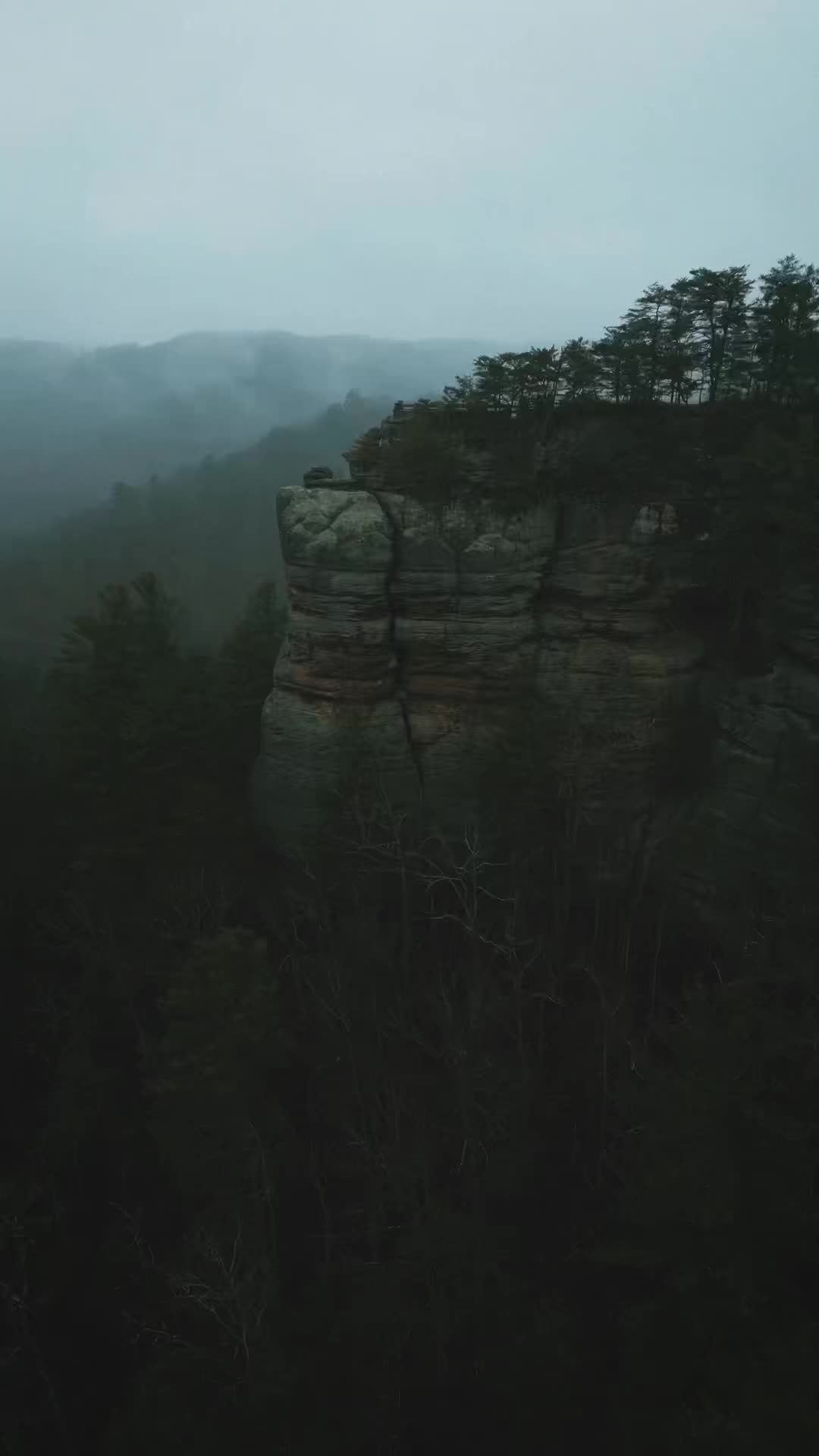 @billy.hikes