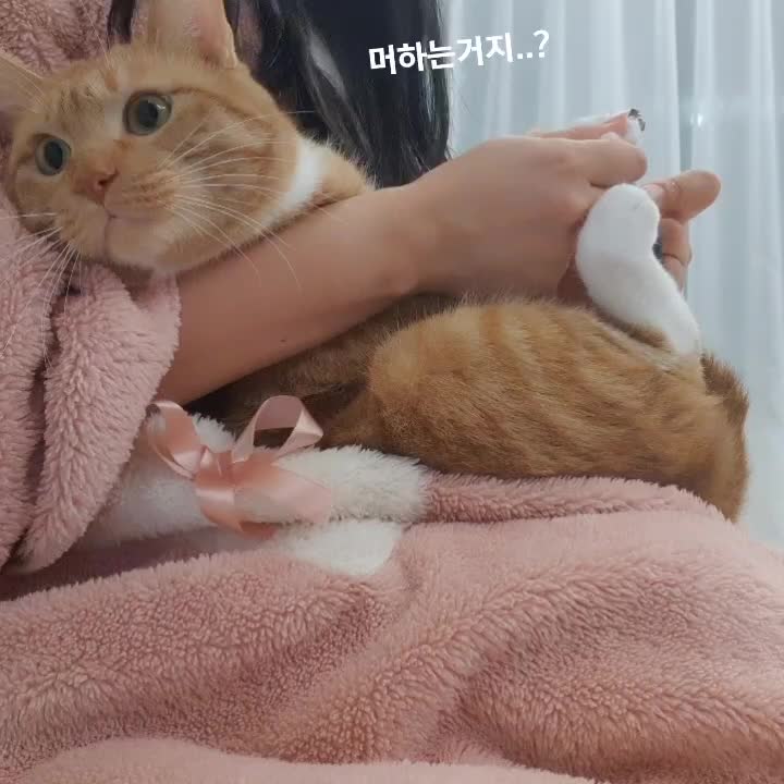 @shinhye