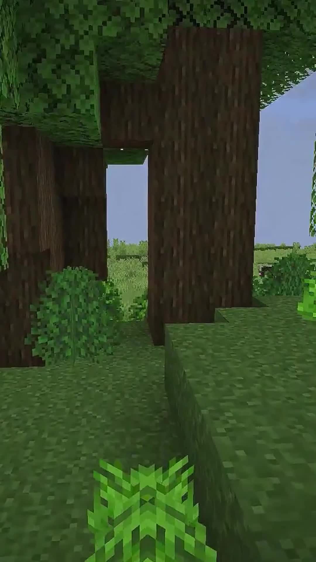 @s1mk0