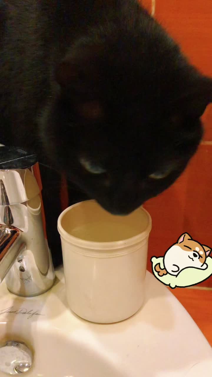 @Drinking_Cat