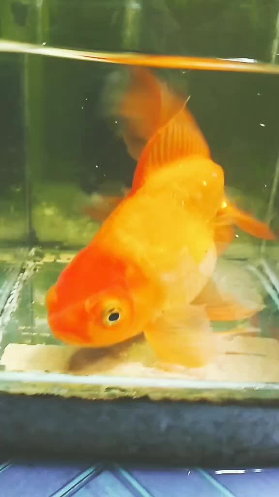 @๐ฅต?๐๐๐๐_๐๐®๐ฅต