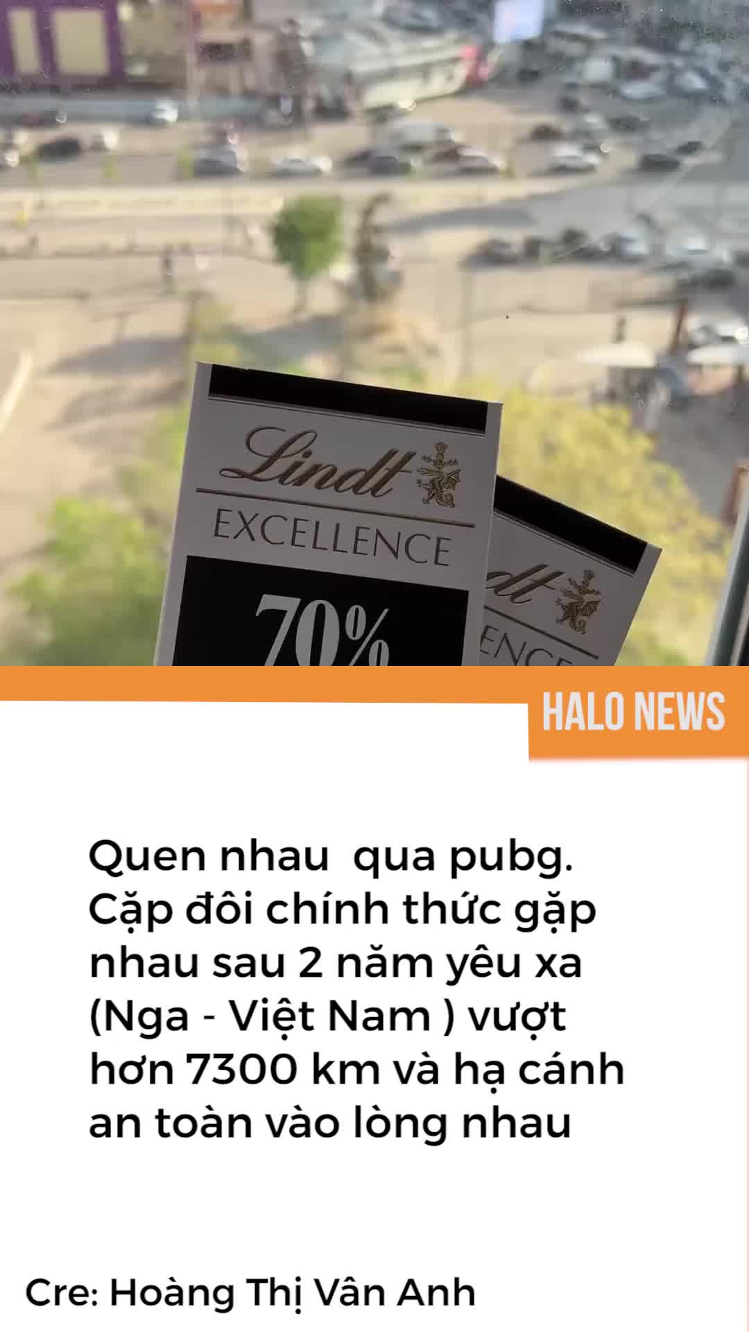 @Halo Vietnam