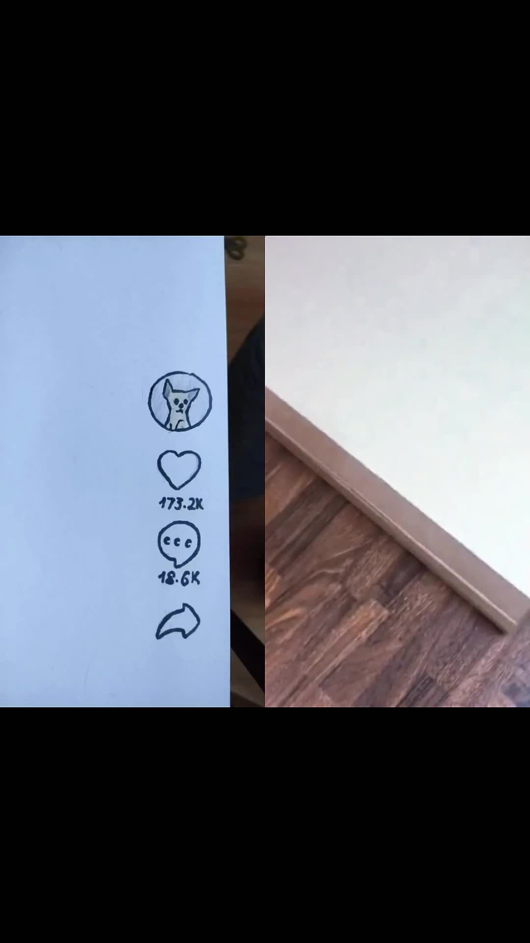 @max5yr