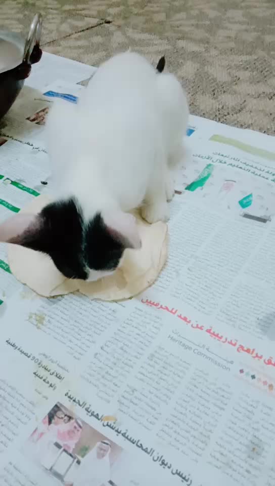 @Badarul Kamal