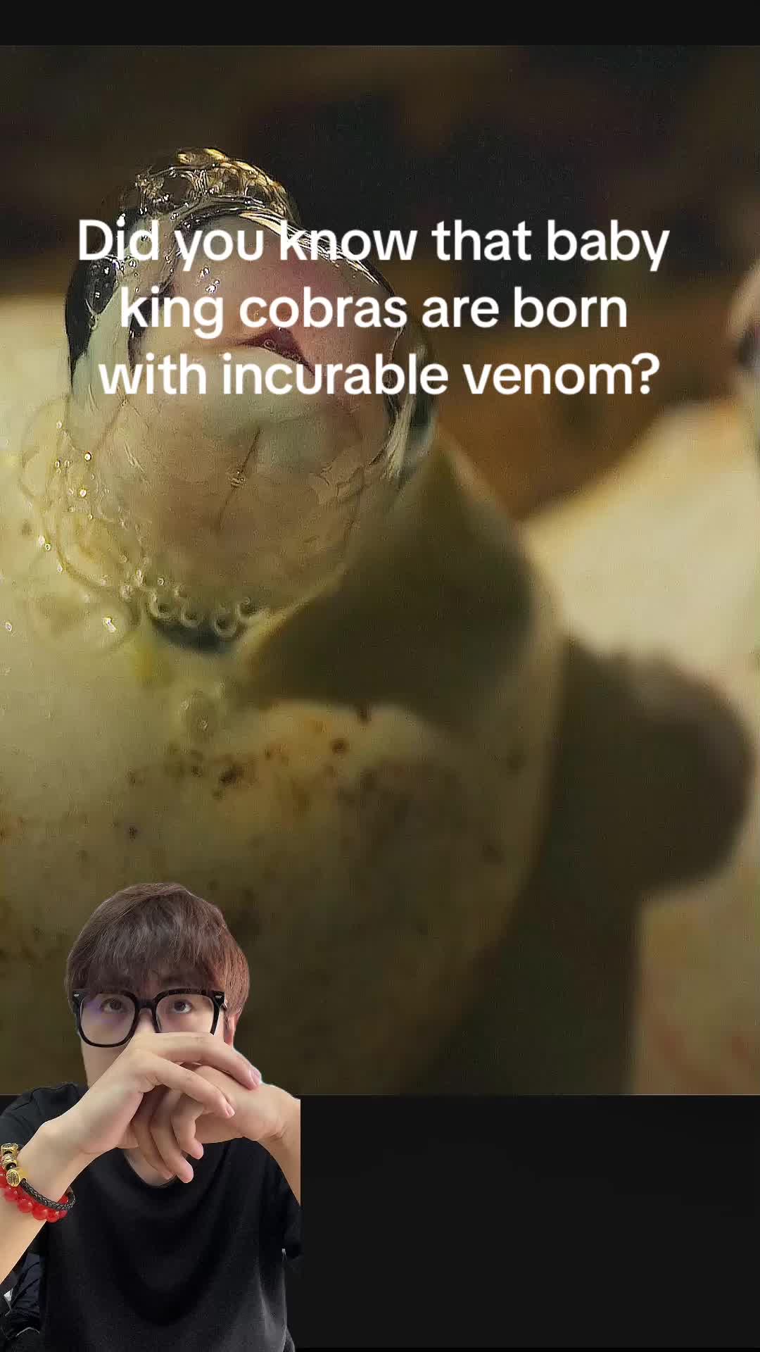 @aboutanimals