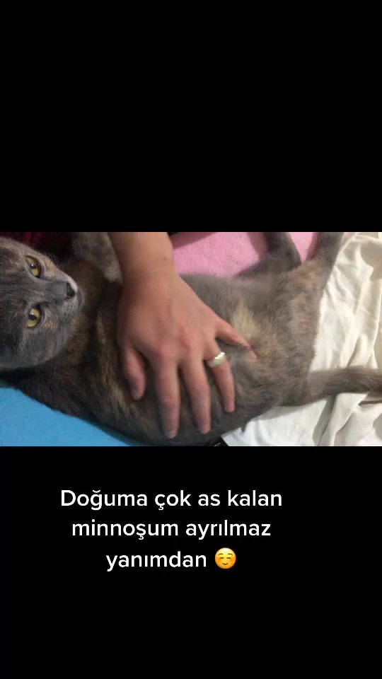 @Boncukun hesabı