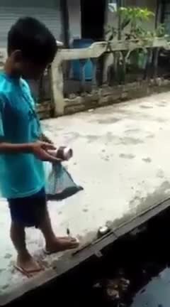 @🤍 محمد شفيق 🤍