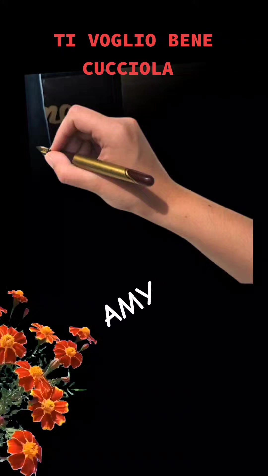 @ALEX