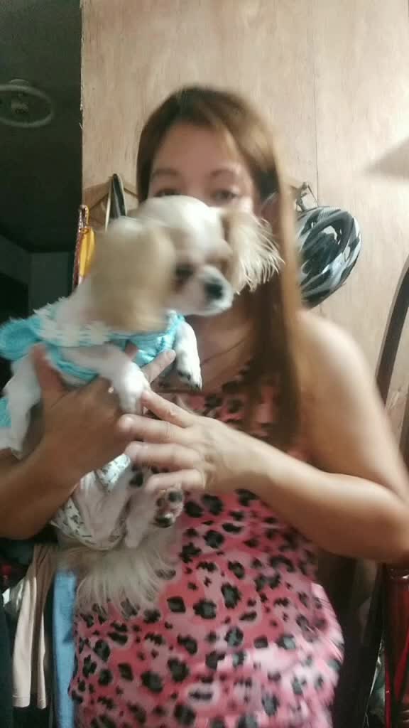 @momshiethezz