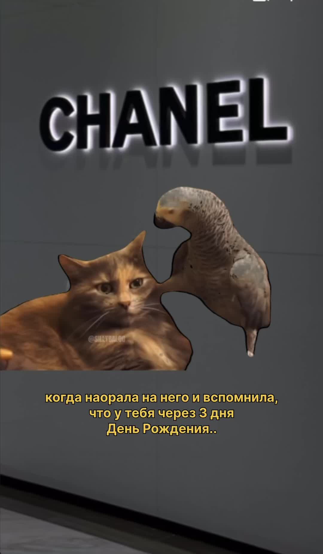 @здесь уютно🫶🏼