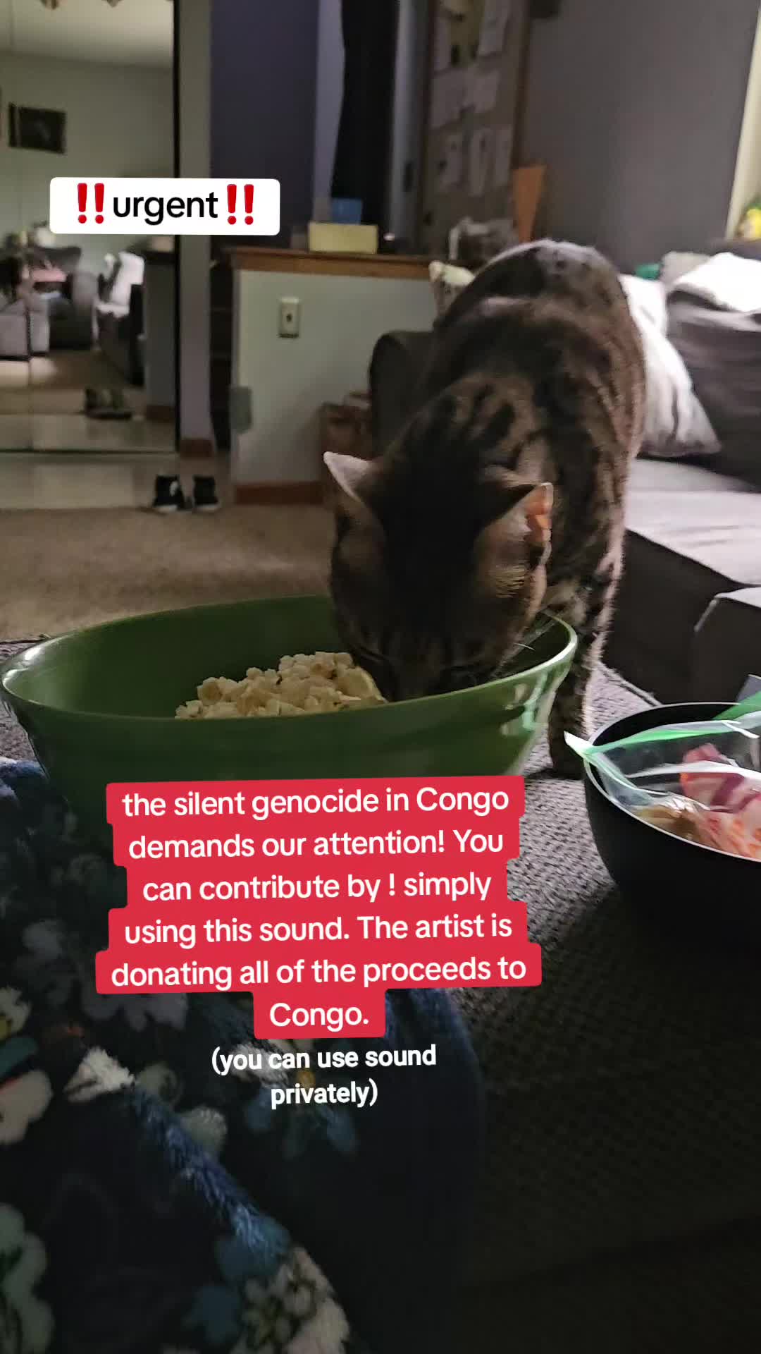 @Laurie Dehn 🆘️🇺🇲