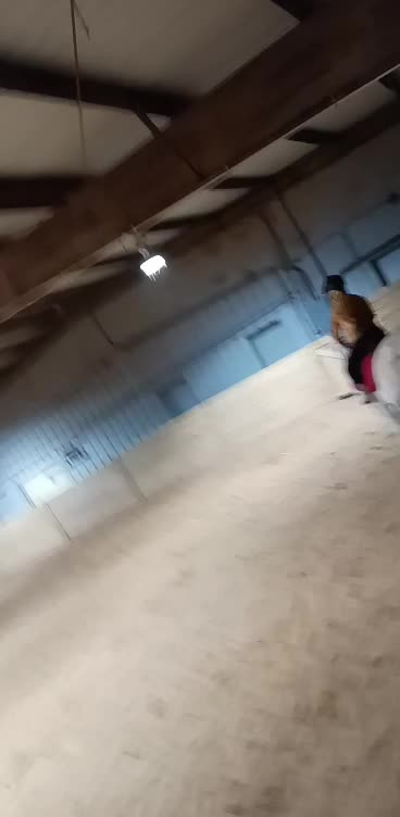 @horsie_rider