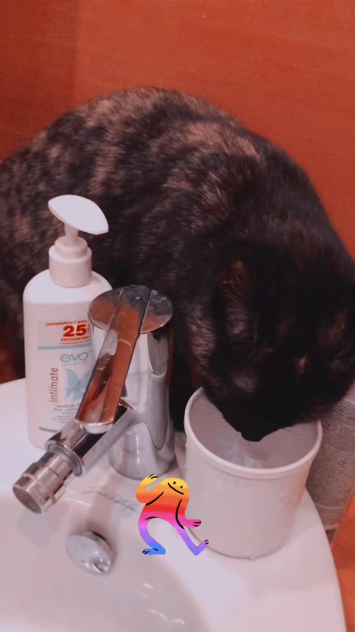 @Drinking_Cat