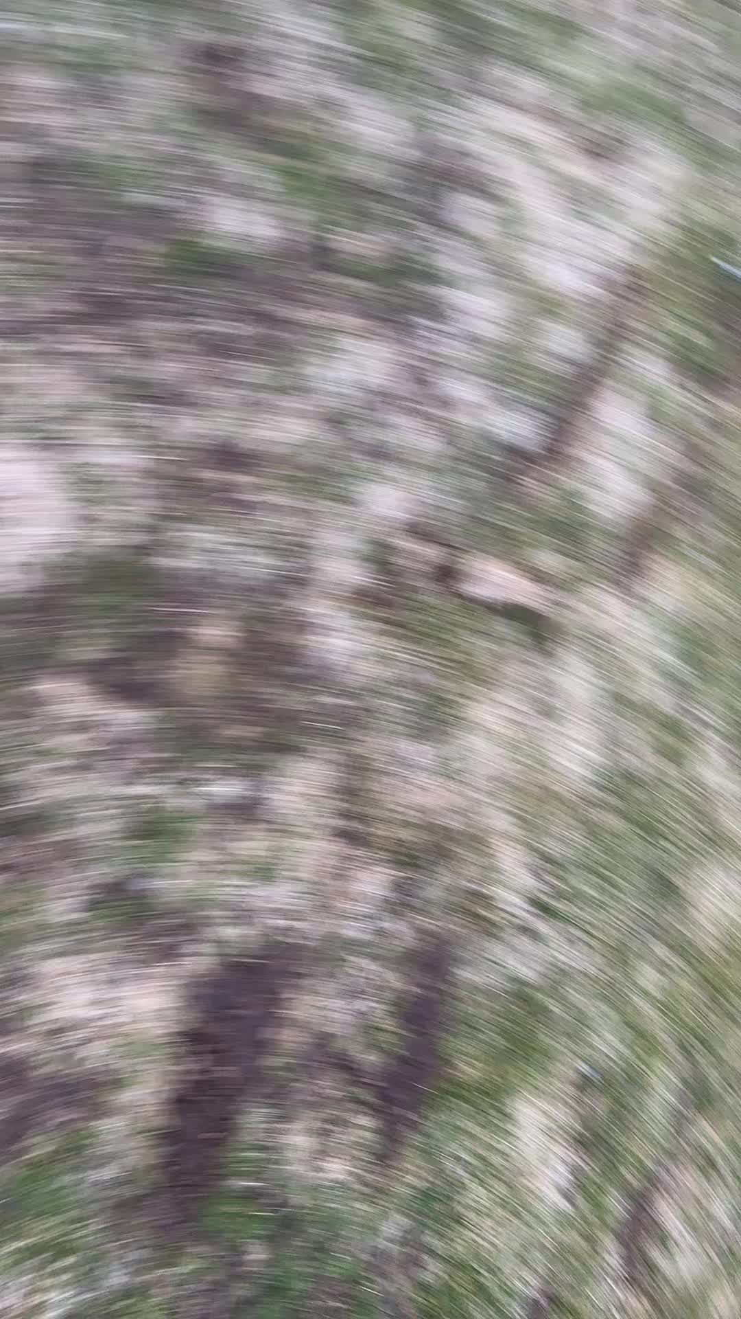 @Sophia