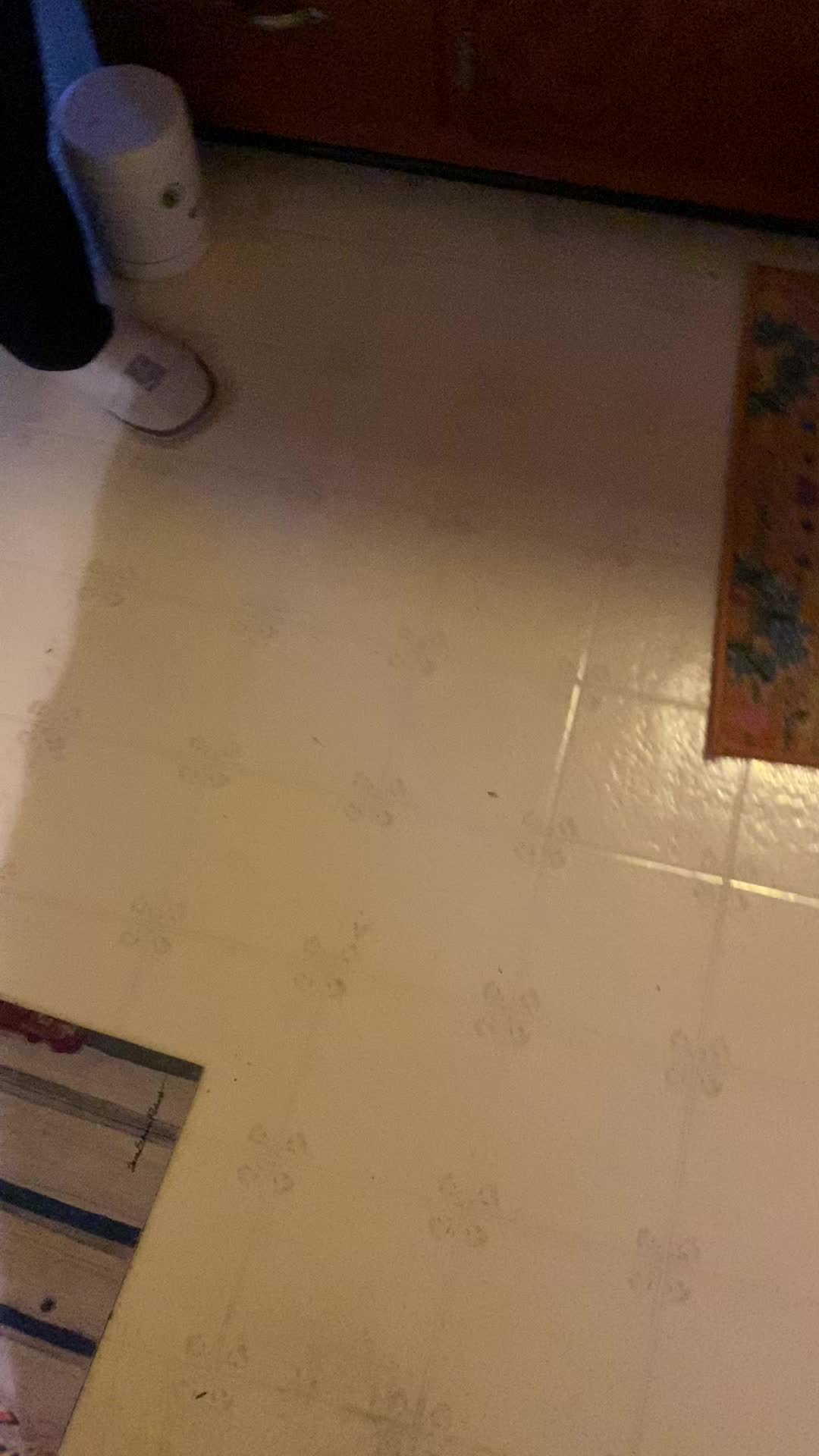 @Sugiebear