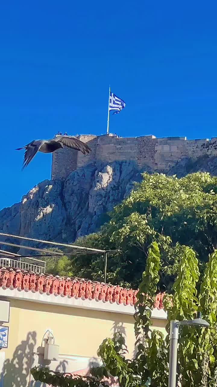@🦅Mohsin☆Mehar🦅🇬🇷🇪🇺