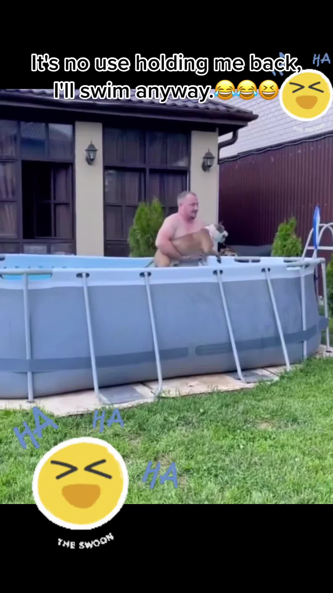 @Igualiza🦎