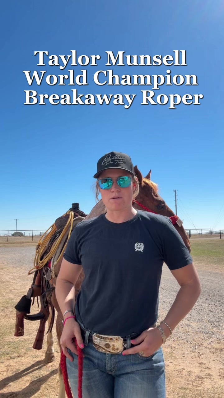 @5 Star Equine