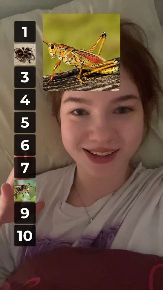 @Alina Jokela
