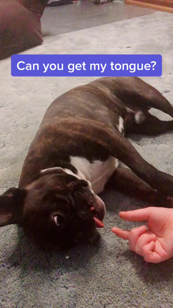 @wildlywinston