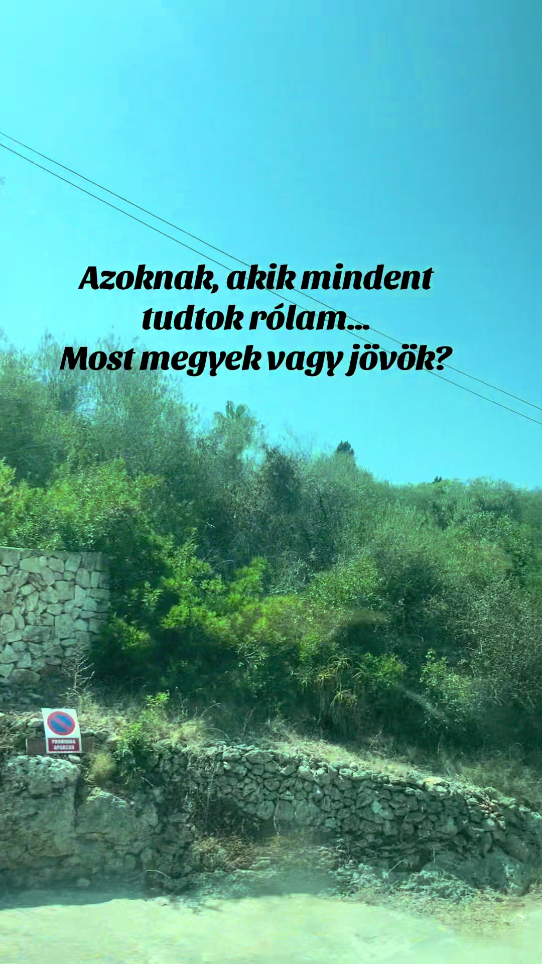 @Annam&aacute;ria Somogyi