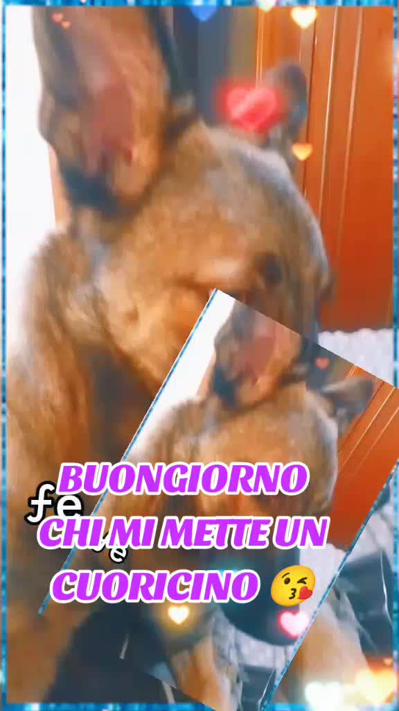 @VAMPIRA E IL SUO DEMONE ❤️