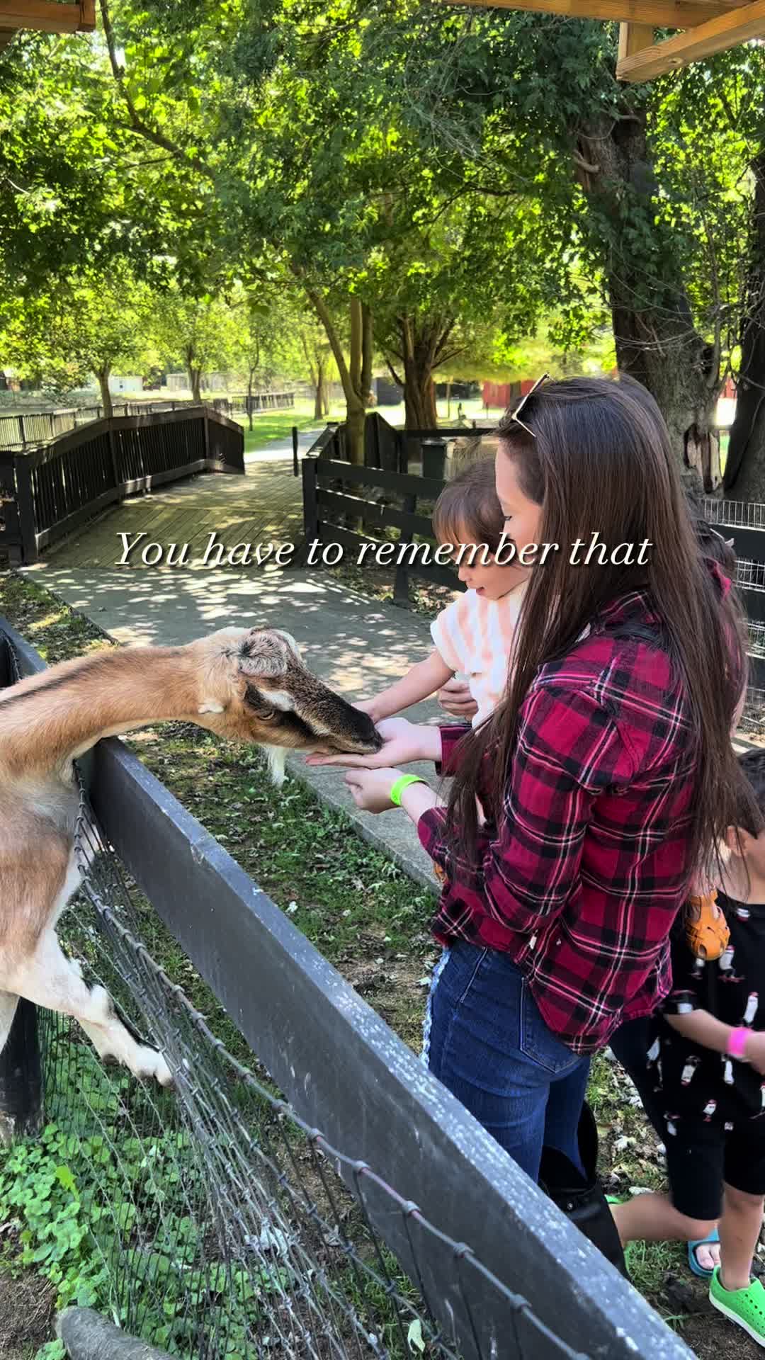 @Perpetua Smith