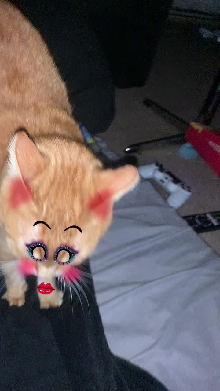 @bezzdopici