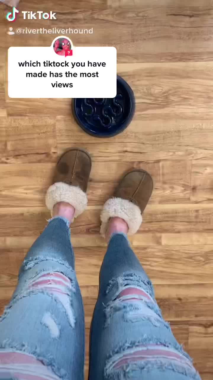 @RiverTheLiverHound