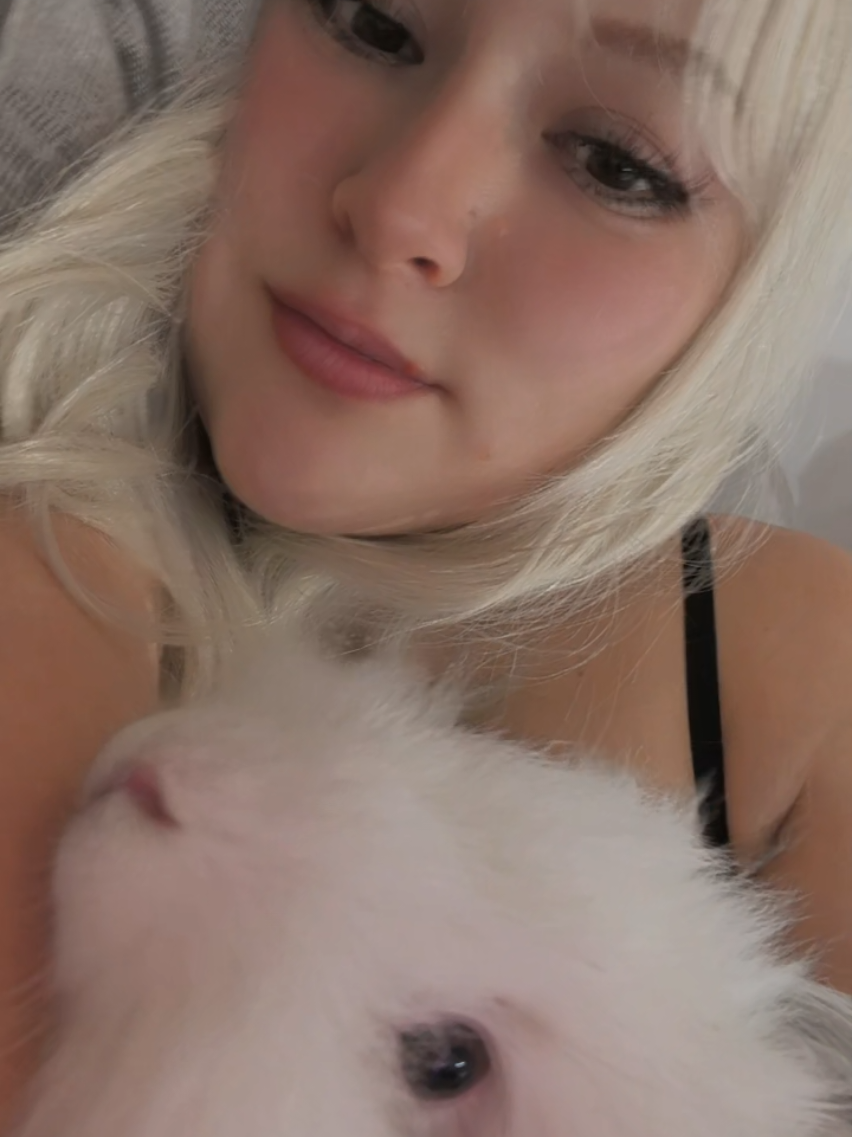 @yezivan