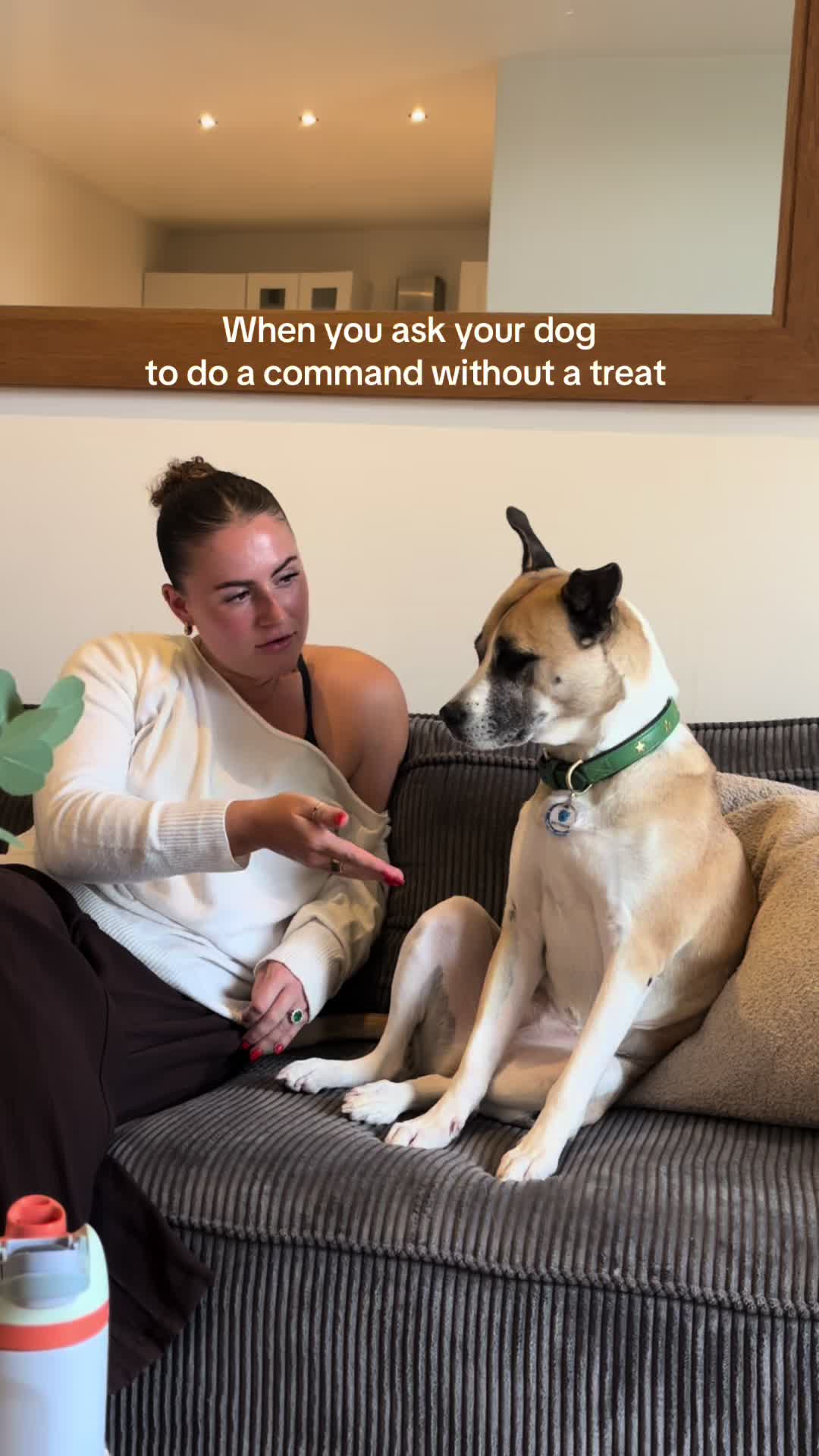 @Moo & Robyn 🐾 | UGC Creator