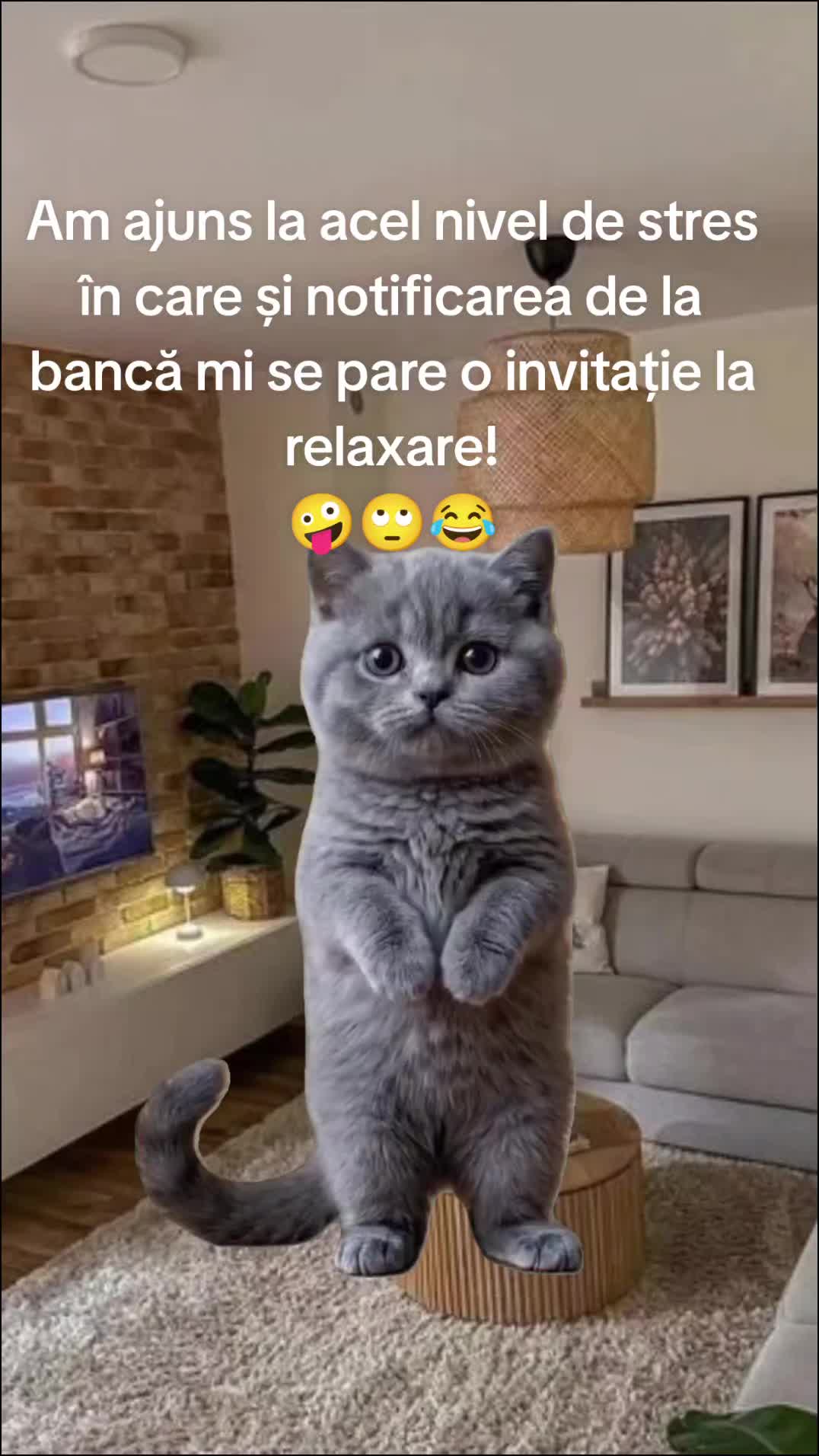 @Carmen Buhinschi