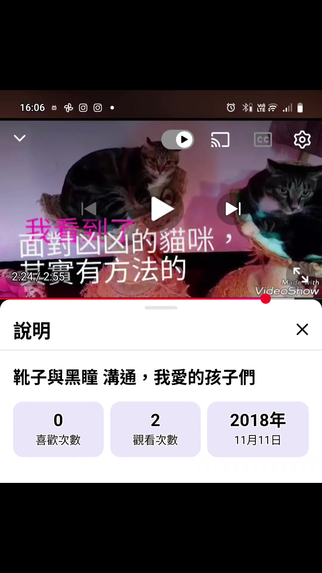 @糧巢偉-貓咪執事