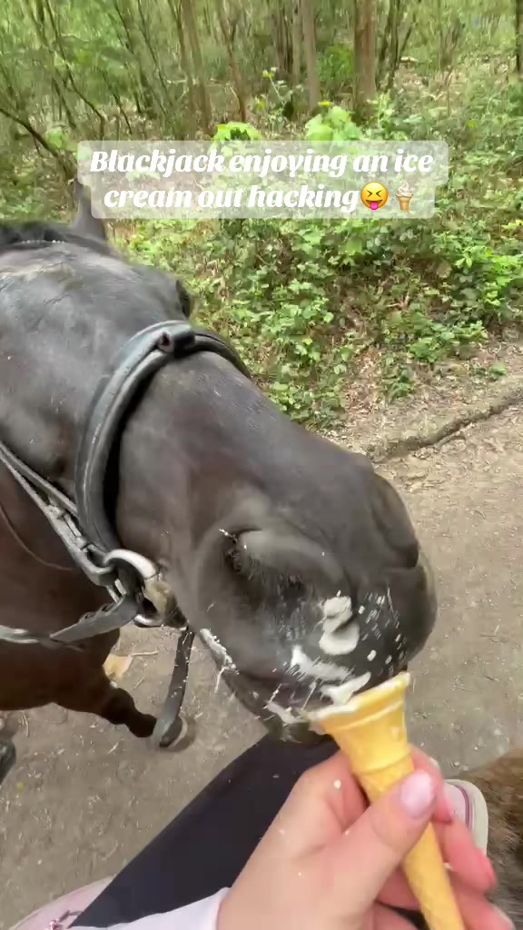 @Charlotte.Equestrian