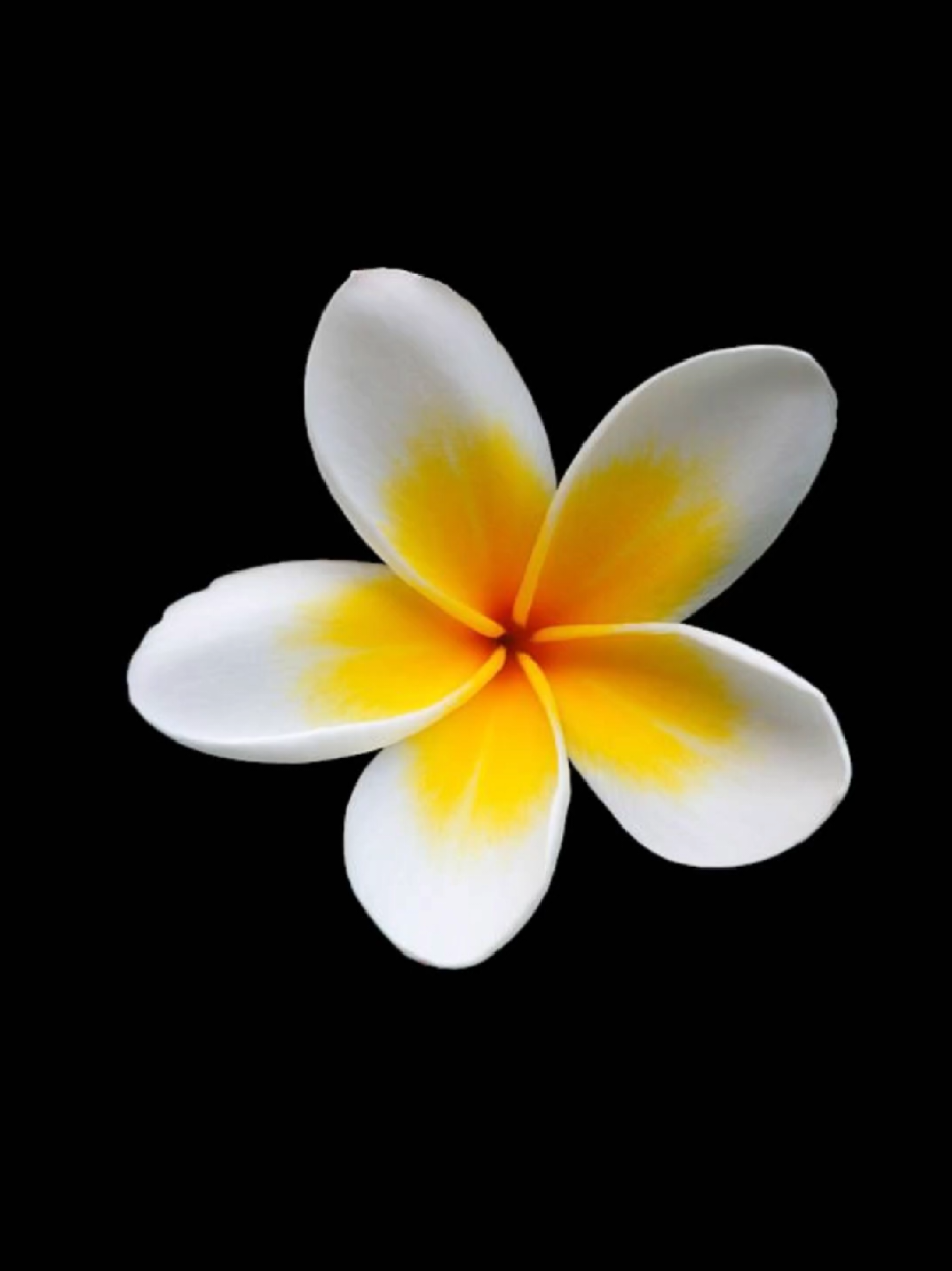 @𝐋𝐲𝐧𝐱.