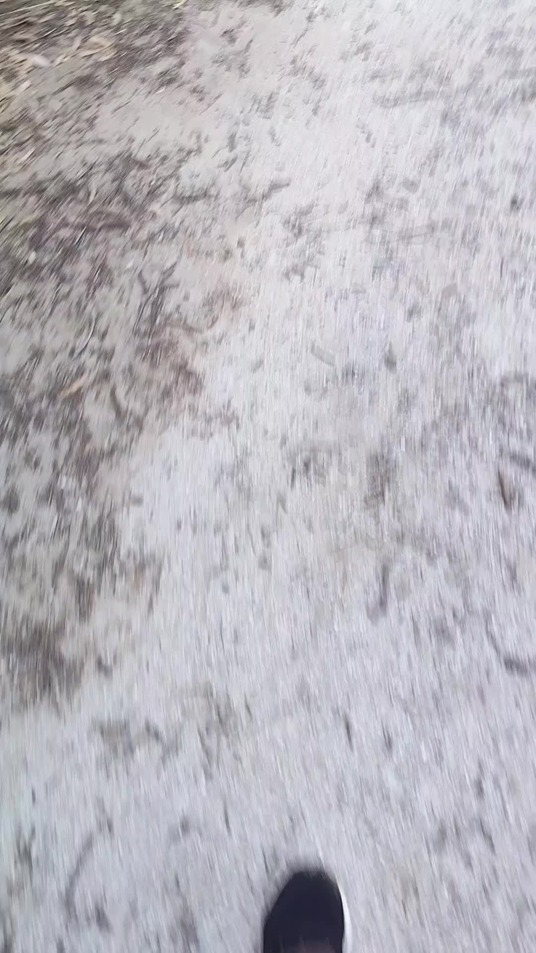 @verónica