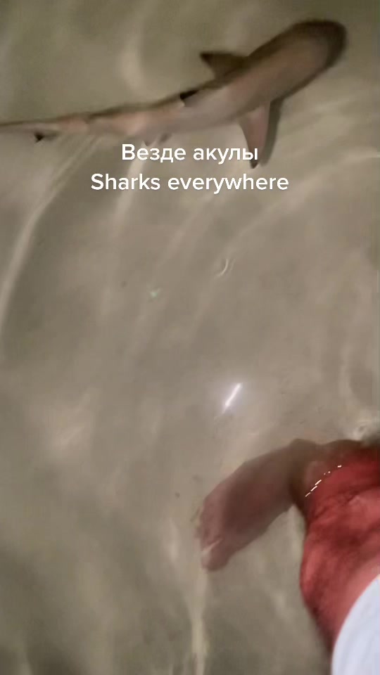 @Александр