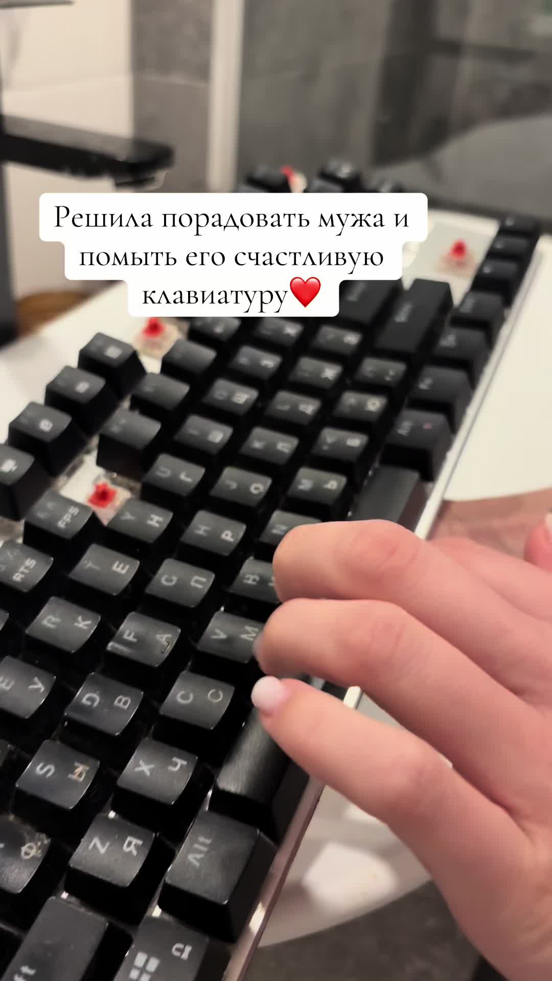 @Evelina_ASMR_sponge
