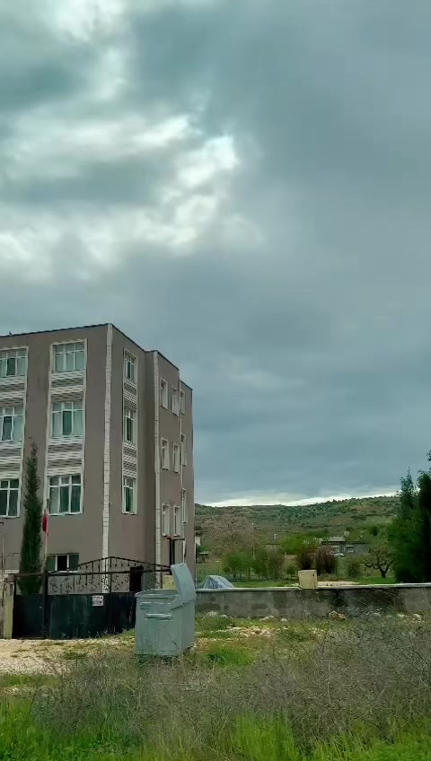 @delalim_02
