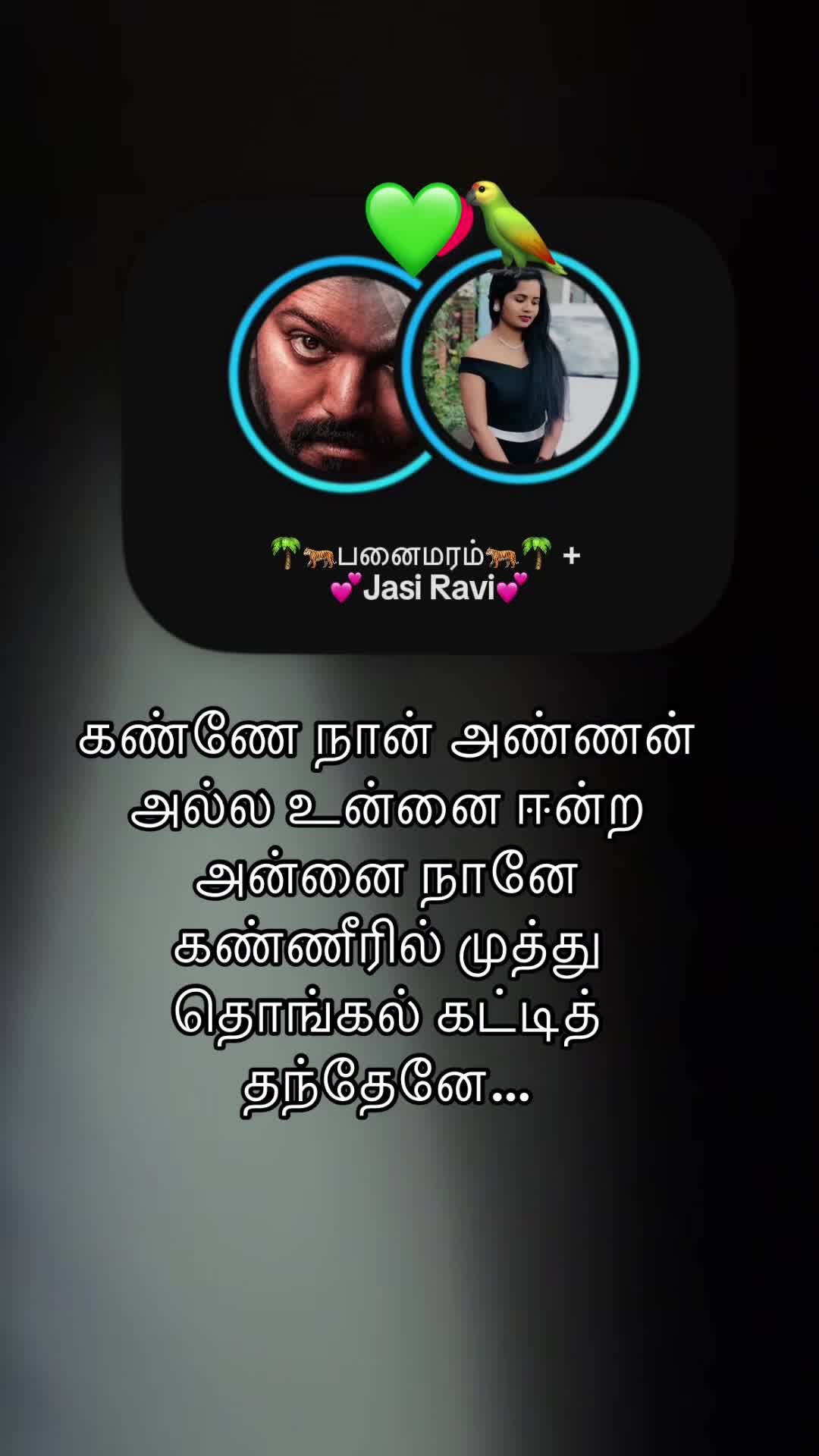 @🌴🐅பனைமரம்🐅🌴