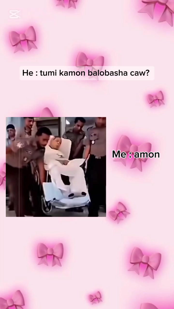 @🤲😺ঈমানদার বিলাই 😺🤲