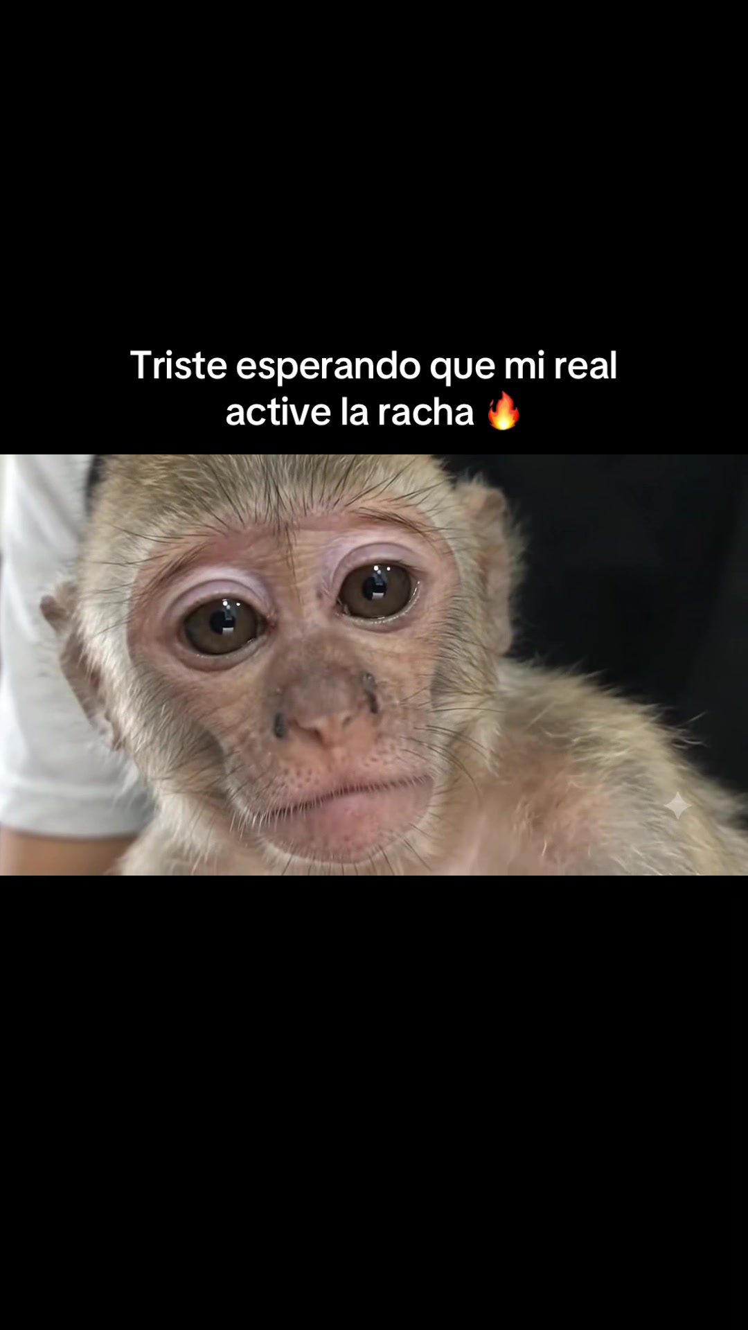 @RabPesito 🔥