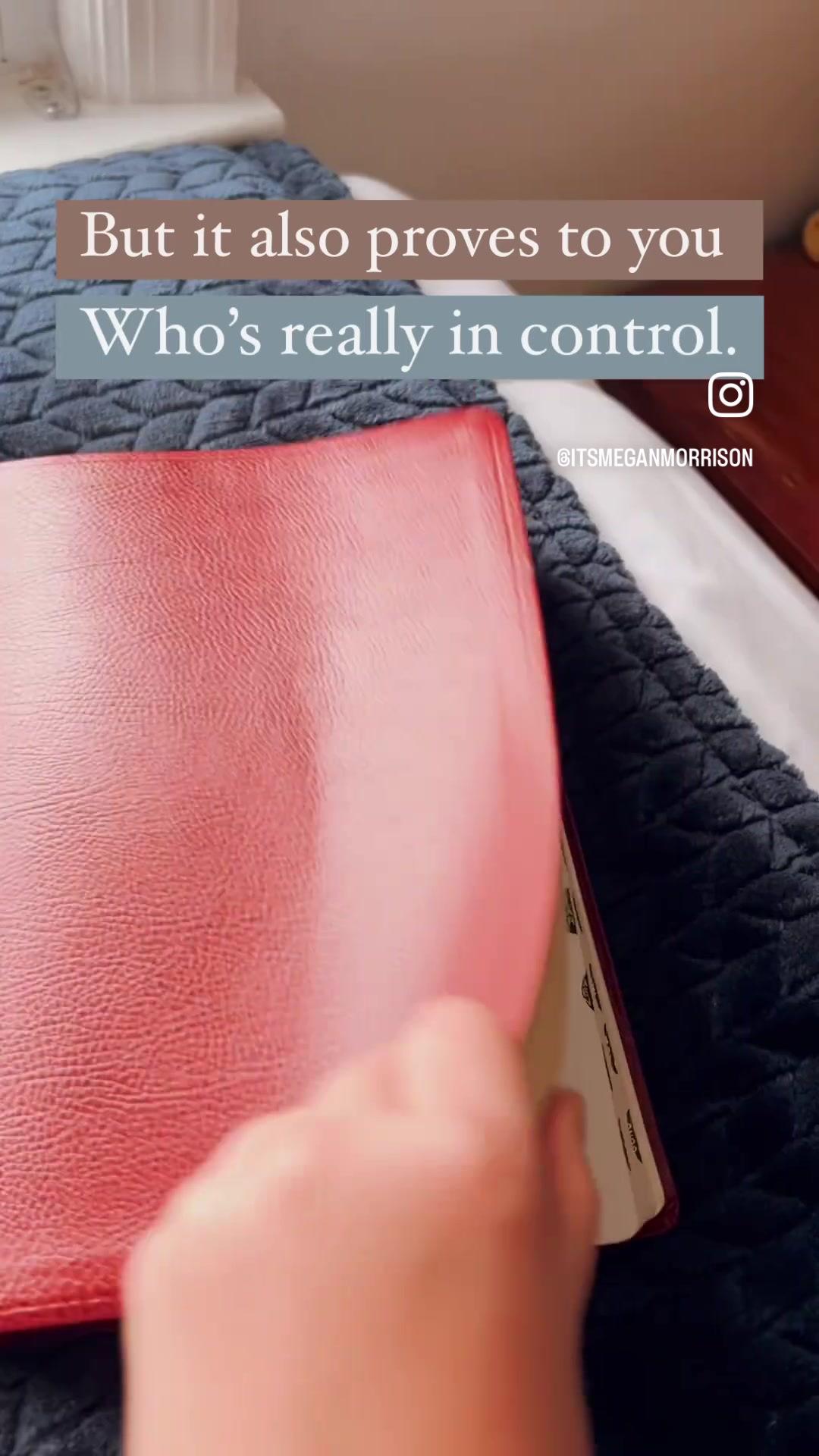 @Meg 🤍