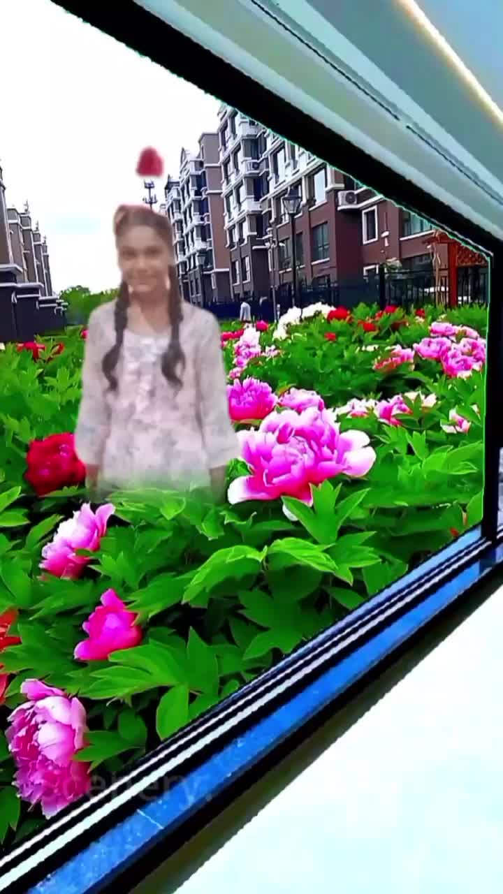 @ashokparmar5395