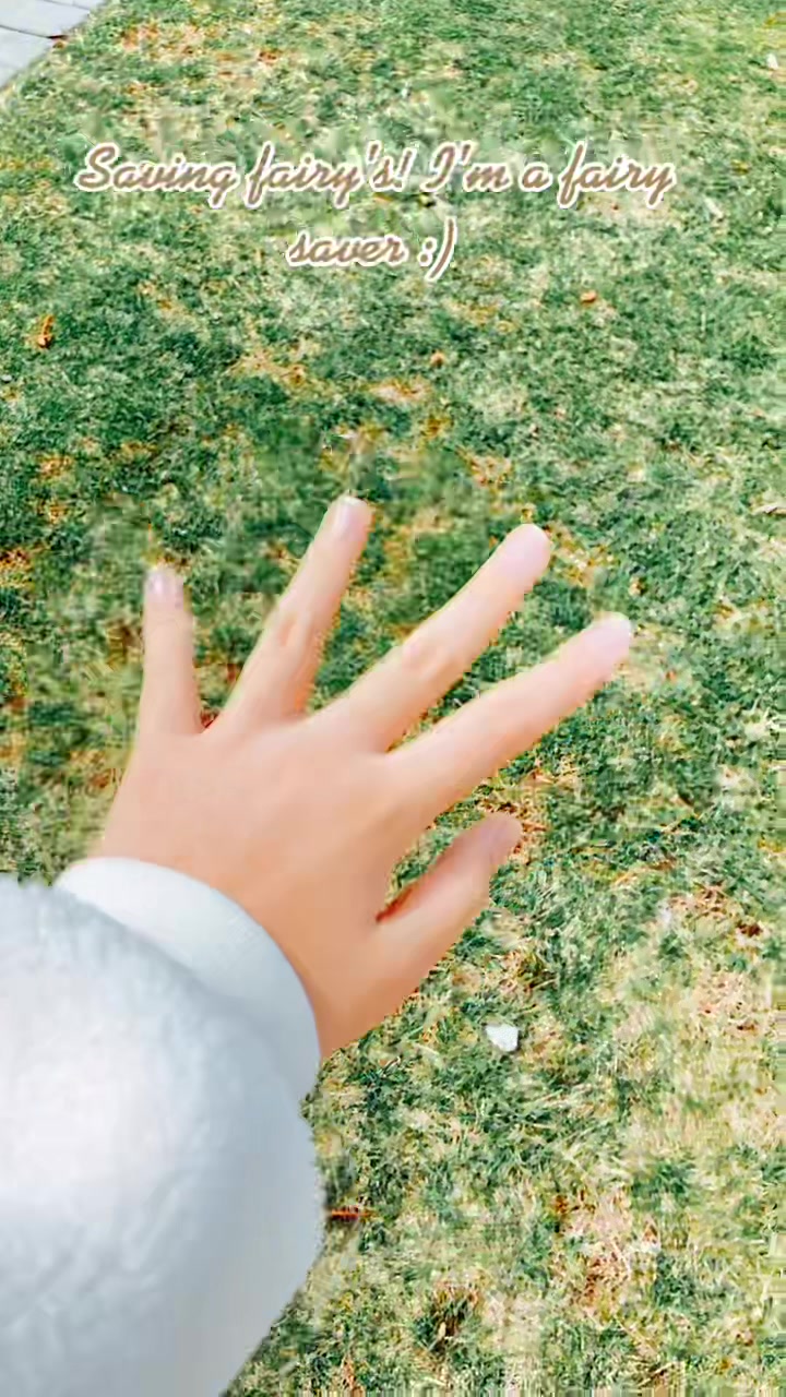 @Me fairy&rsquo;s!