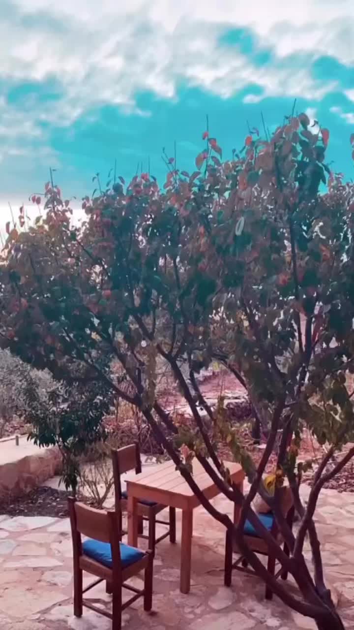 @Beit Saoumar