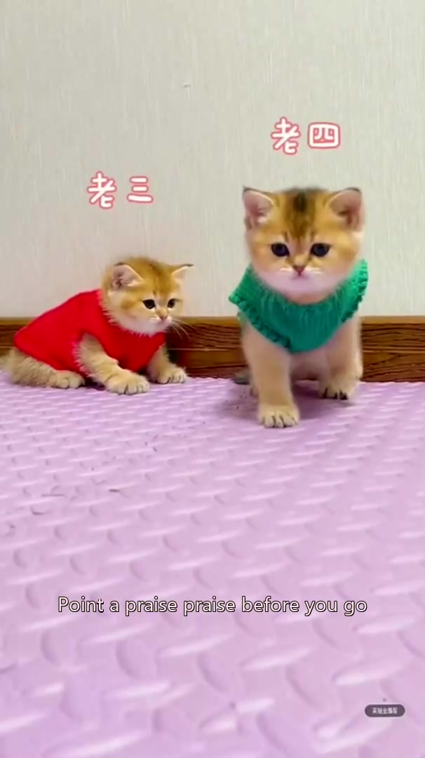 @dfhdhhd22