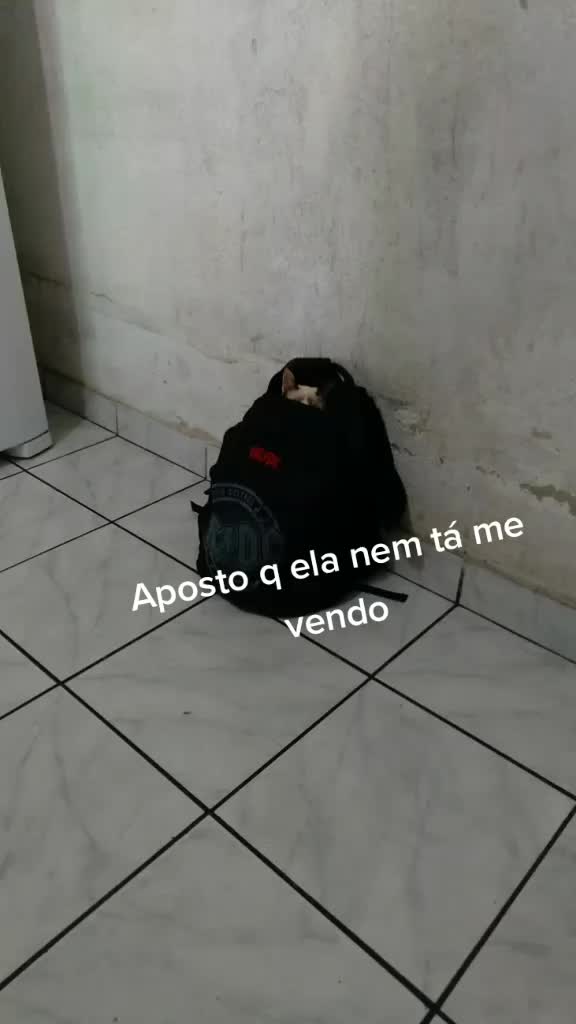 @Eva Evelyn