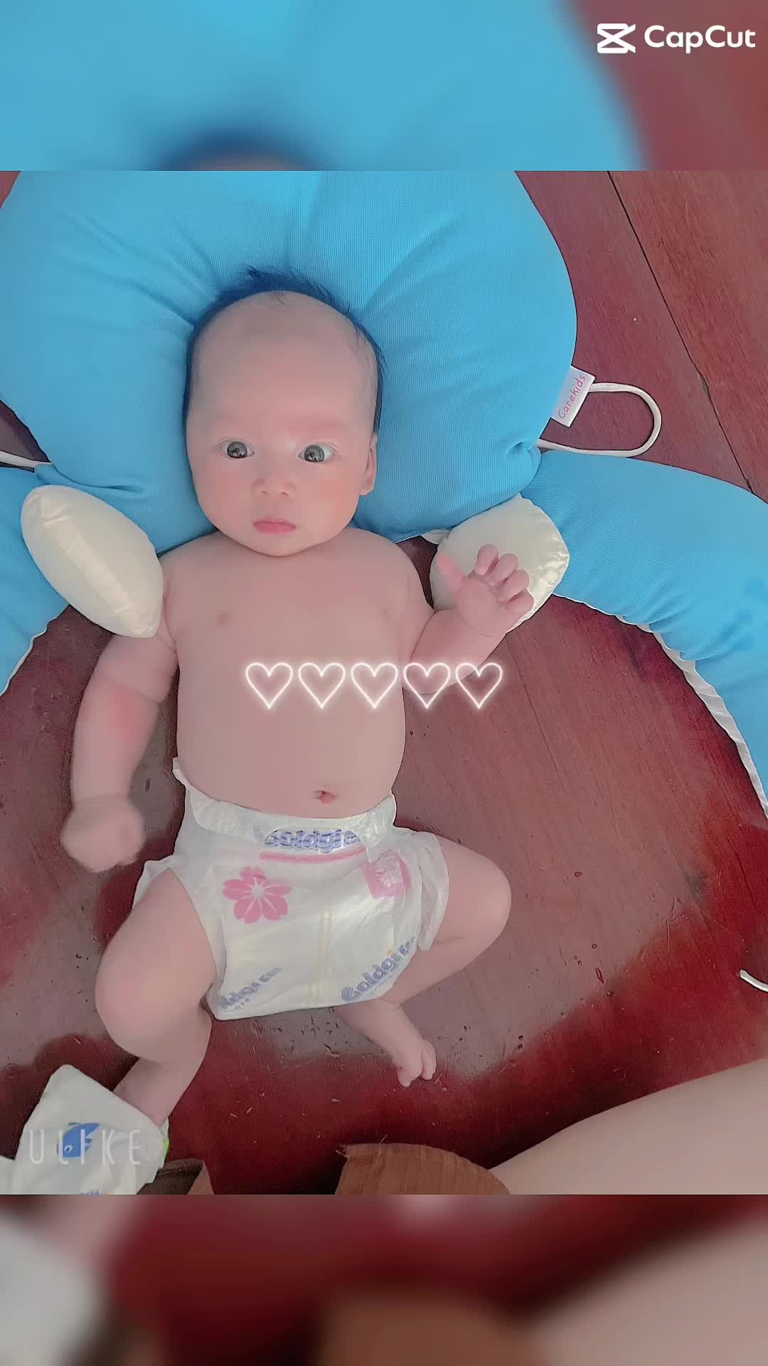 @Sơn Trường